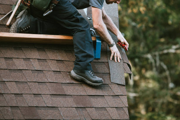 Best Roof Gutter Cleaning  in Loganville, PA